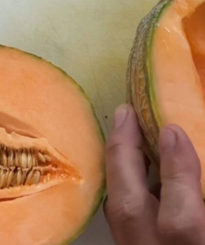 Il melone