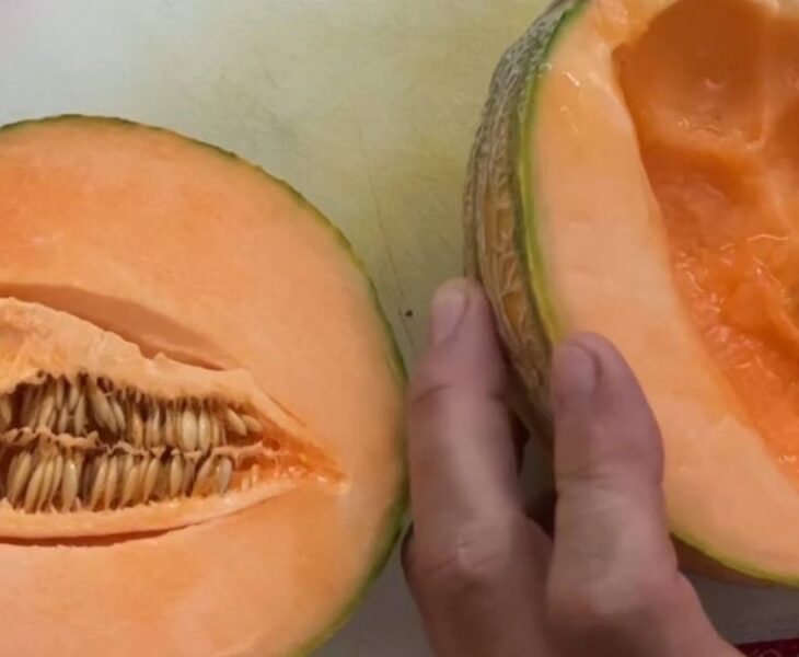 Il melone