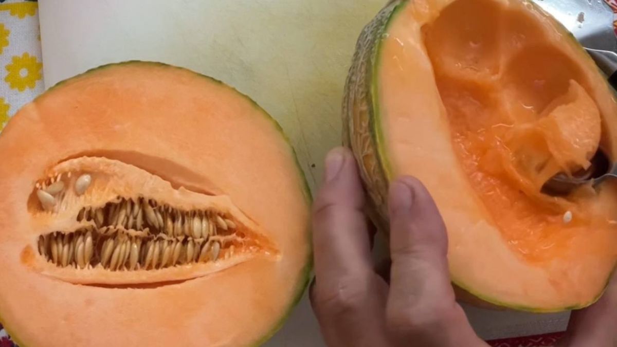 Il melone